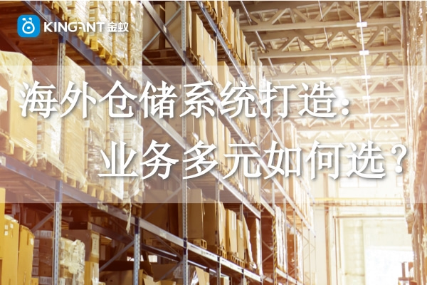 海外倉(cāng)儲(chǔ)系統(tǒng)打造：業(yè)務(wù)多元如何選？