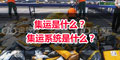 集運是什么？ 集運系統(tǒng)是什么？