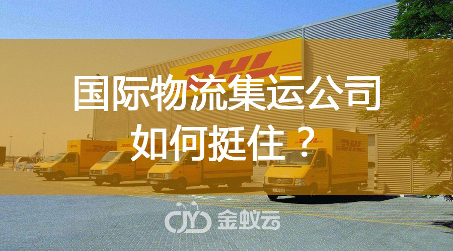 國際物流集運公司如何挺?。?/></div><div   id="8pk8j8k"   class=