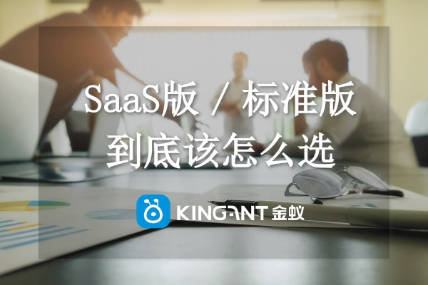 跨境系統(tǒng)有預(yù)算，SaaS版（云版）和標(biāo)準(zhǔn)版我該選哪個？
